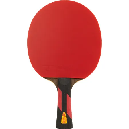Ракетка для н/т DOUBLE FISH 7A+C, для професс.,ITTF Appr.,накл.2,1мм,+ 2 мяча V40+мм ITTF Appr за 3&nbsp;559.80 ₽ купить в Новороссийске