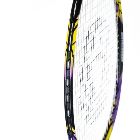 Ракетка бадм. TORRES Carbon PRO6, BD20521,для продв., стерж/обод из карбона,со струнами, фиол за 4&nbsp;477.80 ₽ купить в Новороссийске