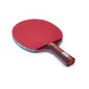 Ракетка для н/т DOUBLE FISH, CK-205, для любителей, ITTF,наклад. 2.0 мм, конич. ручка + сумка-чехол за 1&nbsp;490.90 ₽ купить в Новороссийске