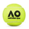 Мяч теннисный Dunlop Australian Open, 601601, уп..3 шт, одобр.ITF,фетр,нат.резина, желтый за 1&nbsp;171.30 ₽ купить в Новороссийске