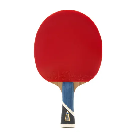 Ракетка для н/т DOUBLE FISH 5A+C, для продвин, ITTF Appr, накл. 2,1 мм, конич. ручка+ 2 мяча V40+мм за 2&nbsp;779.50 ₽ купить в Новороссийске