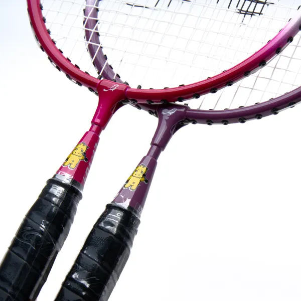 Набор для бадм. DOUBLE FISH JINQUE LT-101 детск, для начинающ.,дл.450мм,стал.стерж,алюм.обод, малин/ за 1&nbsp;479 ₽ в Новороссийске