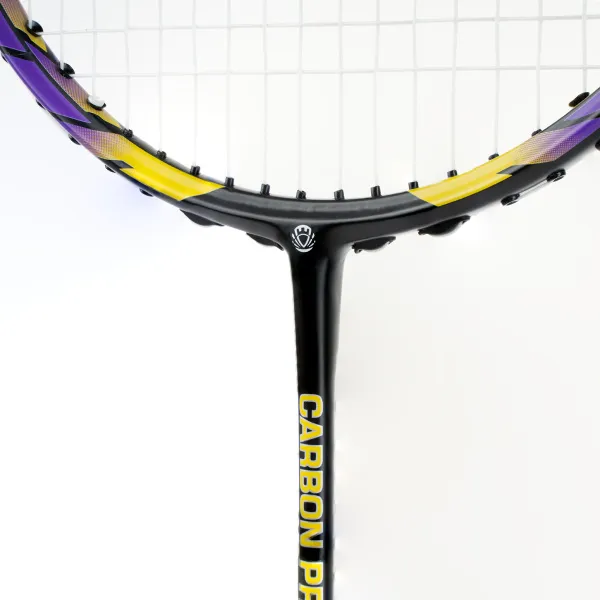 Ракетка бадм. TORRES Carbon PRO6, BD20521,для продв., стерж/обод из карбона,со струнами, фиол за 4&nbsp;477.80 ₽ в Новороссийске