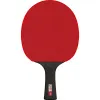 Ракетка для н/т DOUBLE FISH Black Carbon King Racket 3***, для професс.,ITTF Appr.,накл.2,1,мм за 4&nbsp;346.90 ₽ купить в Новороссийске